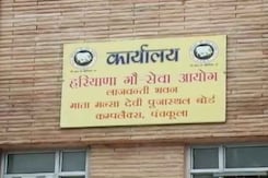 Haryana Plans Identity Cards For Cow Protectors To Weed Out Anti-Socials Haryana Plans Identity Cards For Cow Protectors To Weed Out Anti-Socials