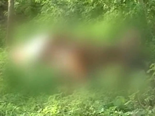 अब कहां हैं कथित गोरक्षक? ऊना में जगह-जगह मरी पड़ीं गायें, उठाने वाला कोई नहीं