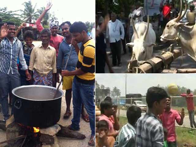 Cooking, Volleyball, Protests On Highway Between Karnataka's Main Cities
