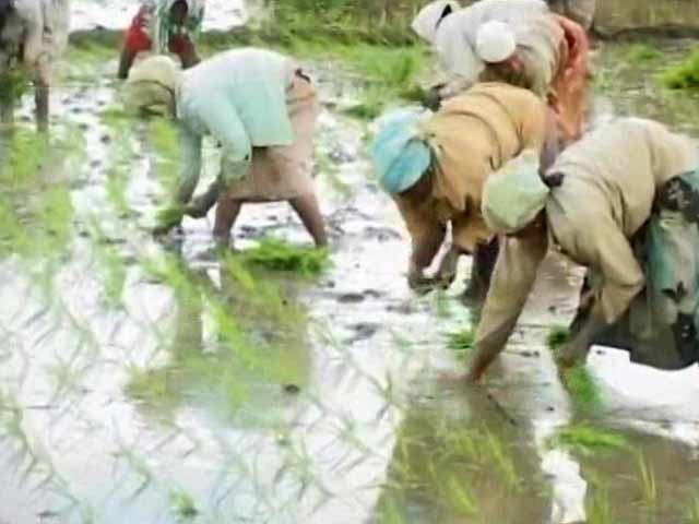 Video : To Soothe Anger, Karnataka Releases Cauvery Water For Its Own Farmers