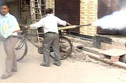 Why Delhi Is Failing In Fight Against Malaria, Chikungunya Why Delhi Is Failing In Fight Against Malaria, Chikungunya