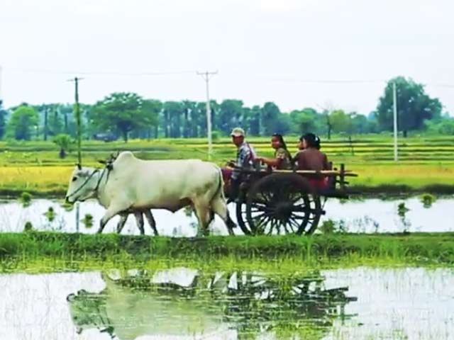 Great Overland Adventure in Myanmar: The Surprise In Monywa