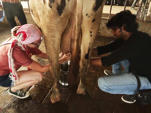 India Adventures in Patiala: The Milky Way To The Grand Finale