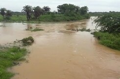 Army Called In As 13 Die Of Rain In Andhra, Telangana Army Called In As 13 Die Of Rain In Andhra, Telangana