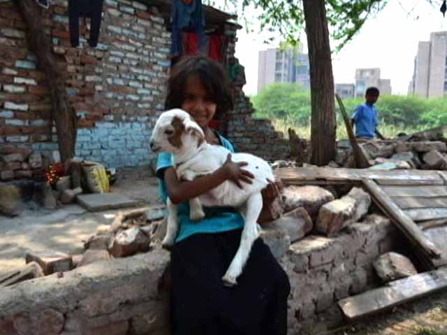 My City Through My Eyes