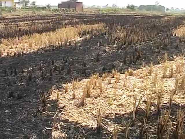 Videos : पंजाब के खेतों में खूंटी जलाने से बढ़ा प्रदूषण