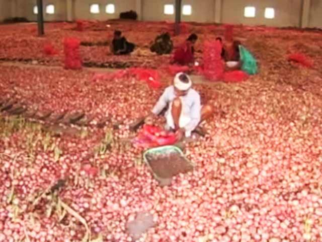 7 Lakh Quintal Onion Rot In Madhya Pradesh, Rs. 6.7 Crore Spent On Disposal
