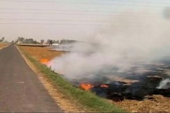 Burning Of Paddy Stubble Continues In Punjab, Haryana Despite Curbs Burning Of Paddy Stubble Continues In Punjab, Haryana Despite Curbs