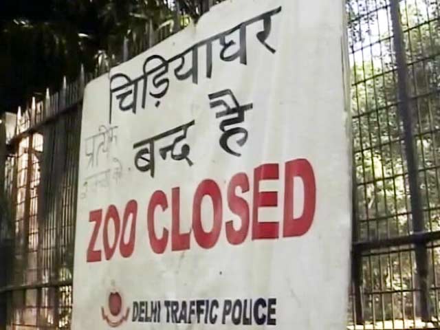 बर्ड फ्लू के खौफ के चलते दिल्ली का चिड़ियाघर बंद किया गया
