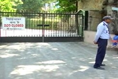 Delhi Zoo, Deer Park Shut Down As Bird Flu Strikes Delhi Zoo, Deer Park Shut Down As Bird Flu Strikes