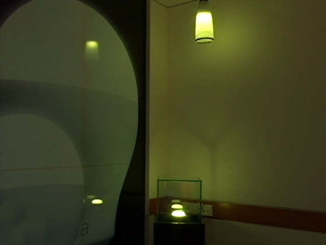 How to Use Smart Lights?