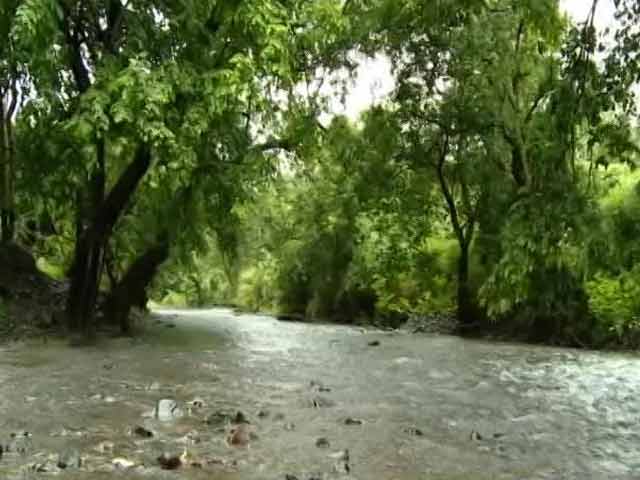 Can Mumbai Save Its Dahisar River?