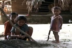Kids Dying Of Japanese Encephalitis In Malkangiri, Odisha Stirs In Action Kids Dying Of Japanese Encephalitis In Malkangiri, Odisha Stirs In Action