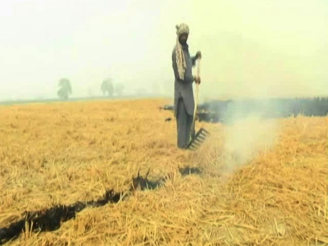 'Not Just Farm Fires, Many Causes Of Pollution'