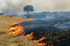 प्रदूषण पर नेशनल ग्रीन ट्रिब्यूनल ने मांगी रिपोर्ट प्रदूषण पर नेशनल ग्रीन ट्रिब्यूनल ने मांगी रिपोर्ट