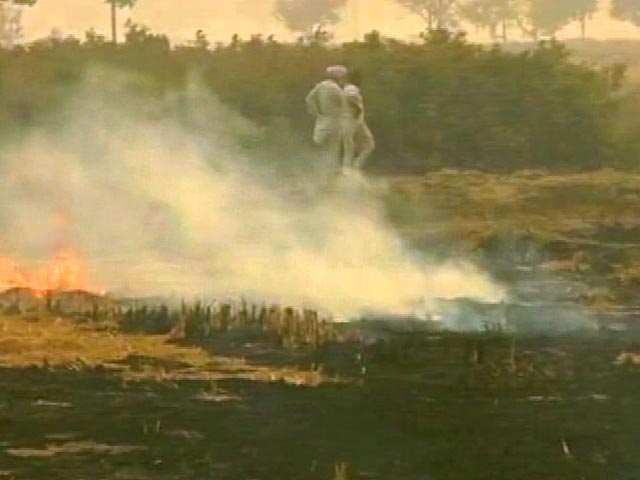 60% of Toxic Delhi Smog Result Of Punjab Crop Burning, Say Experts