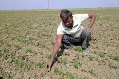 Political Parties Come Knocking At The Doors Of Drought-Hit Bundelkhand Political Parties Come Knocking At The Doors Of Drought-Hit Bundelkhand