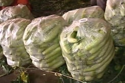 सब्जी मंडी में अफरा-तफरी, बड़े नोट लेने को कोई तैयार नहीं सब्जी मंडी में अफरा-तफरी, बड़े नोट लेने को कोई तैयार नहीं