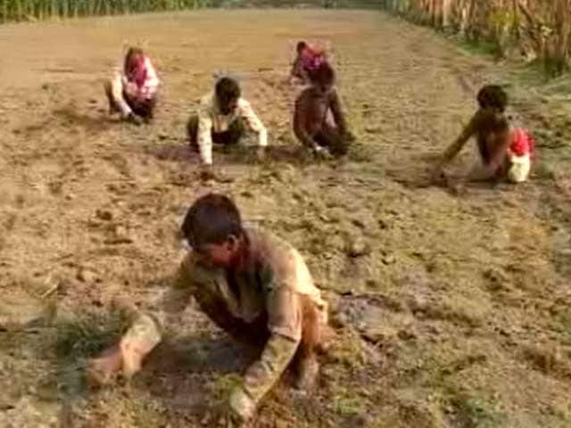 नोटबंदी से किसान न बीज खरीद पा रहे हैं और न खाद