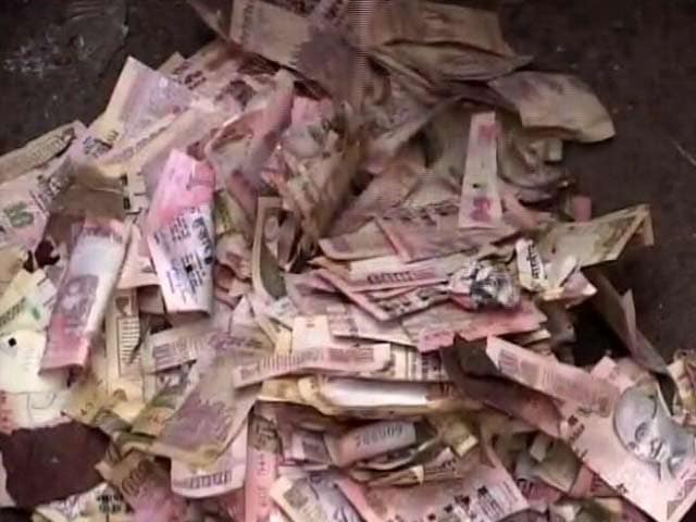 Video : 2 Sacks Of Torn 500, 1,000 Rupee Notes Found In Posh Kolkata Area