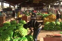 A Week On, How Banning Rs. 500, 1000 Notes Are Impacting Wholesale Markets A Week On, How Banning Rs. 500, 1000 Notes Are Impacting Wholesale Markets