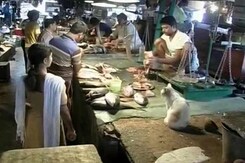 Cash Crunch Hits Fish Markets In Kolkata, Business Nosedives Cash Crunch Hits Fish Markets In Kolkata, Business Nosedives
