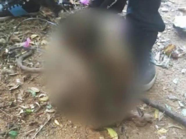 Medical Students In Tamil Nadu Torture, Kill Monkey On Campus, 4 Suspended