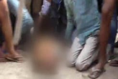 Leopard Allegedly Beaten To Death By Mob In Gurugram Leopard Allegedly Beaten To Death By Mob In Gurugram