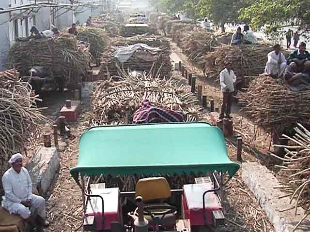 नोटबंदी की गन्ना किसानों पर दोहरी मार