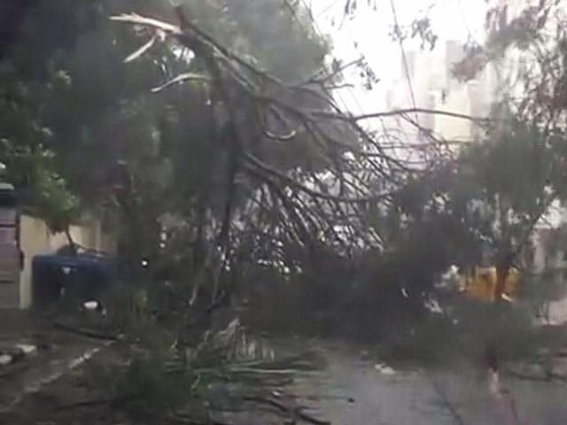 Videos : बड़ी खबर : चेन्नई के पास समुद्र तट से टकराया 'वरदा' तूफान