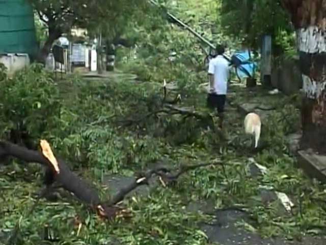 Chennai Recovers After Cyclone Vardah, 10 Dead