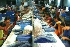 नोटबंदी का असर विकास दर पर पड़ेगा : एसोचैम नोटबंदी का असर विकास दर पर पड़ेगा : एसोचैम