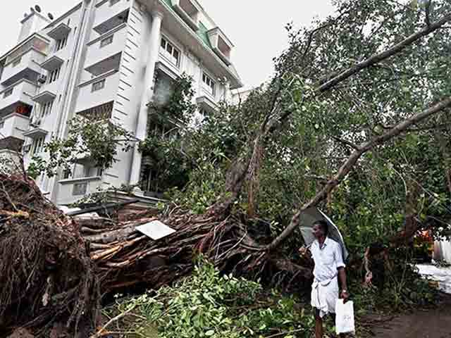 Video : Cyclone Vardah Gone, Battered Chennai Picks Up The Pieces