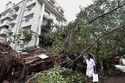 Cyclone Vardah Gone, Battered Chennai Picks Up The Pieces Cyclone Vardah Gone, Battered Chennai Picks Up The Pieces