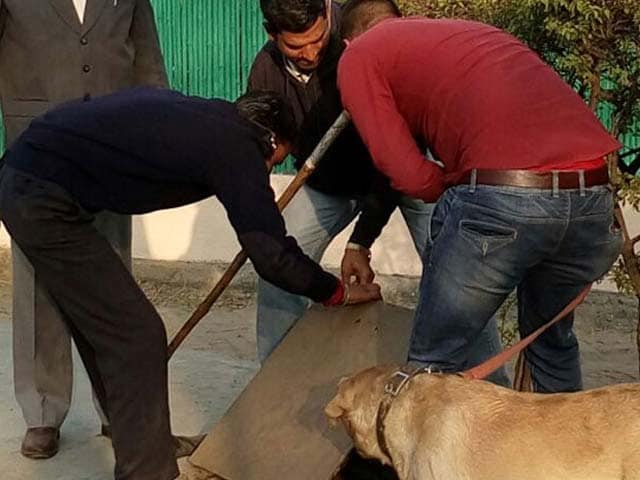 More Than 600 Cops, Sniffer Dogs Sweep JNU Campus To Find Missing Student