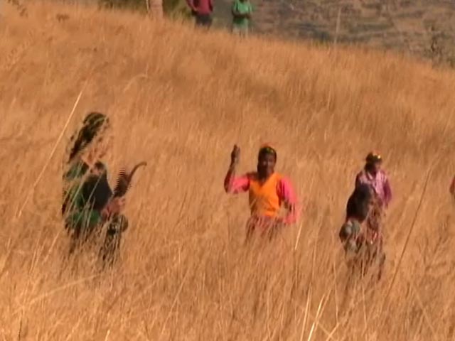 उत्तराखंड में घसियारी महोत्सव, जंगलों को बचाने में महिलाओं का योगदान