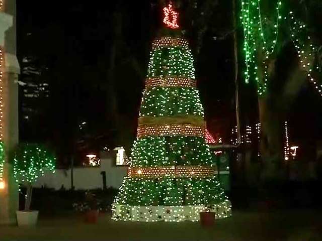 Video : Bengaluru Church's Green Christmas: A Tree Made Of Cardboard