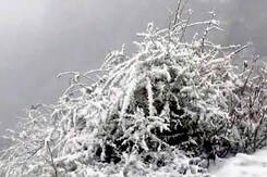 कश्मीर घाटी में भारी बर्फबारी : जम्मू कश्मीर हाईवे बंद कश्मीर घाटी में भारी बर्फबारी : जम्मू कश्मीर हाईवे बंद