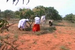In Tamil Nadu, Sikh Farmers Turn Barren Land Into Orchards In Tamil Nadu, Sikh Farmers Turn Barren Land Into Orchards