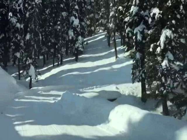 A Drive Through Gulmarg Wrapped In Blanket Of Snow