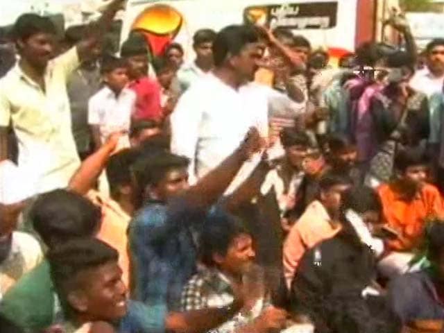Video : Instead Of Pongal Cheer, Protests Engulf Rural Madurai Over Jallikattu Ban
