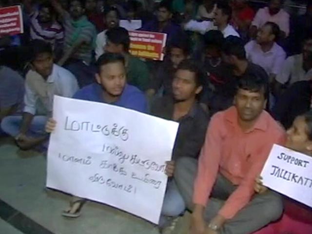 Jallikattu: 5,000 Gather At Chennai's Marina Beach For Overnight Protests