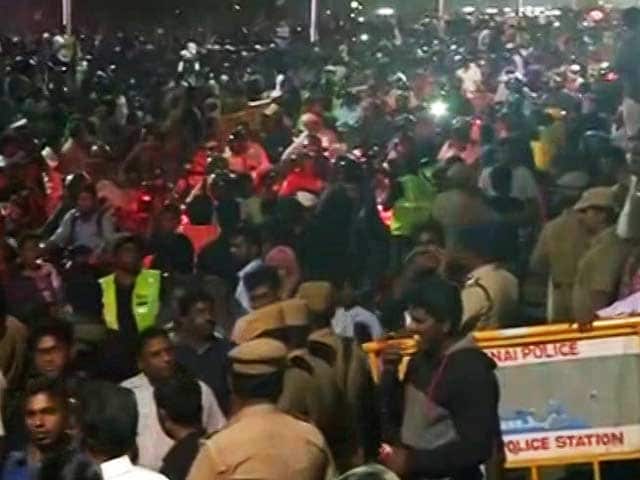 Video : At Chennai's Marina Beach, Thousands Still Protesting For Jallikattu