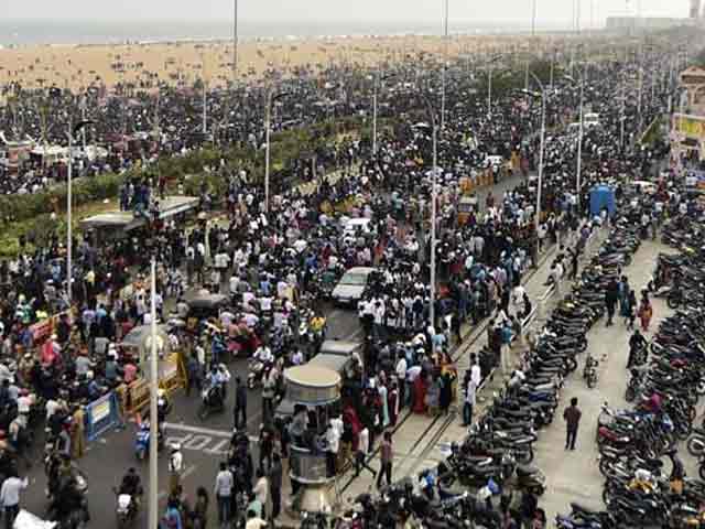 Jallikattu Returns As Tamil Nadu Governor Approves Ordinance