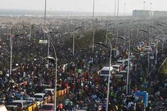 Green Signal For Jallikattu After Ordinance, But Protesters Want More Green Signal For Jallikattu After Ordinance, But Protesters Want More