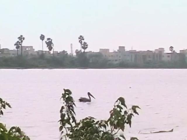 Video : Chennai's Residents Reclaim Sembakkam Lake