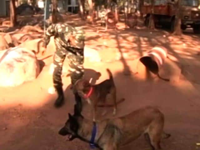Video : Indian Dogs Now Part Of Bomb Disposal Squad In Bastar