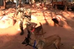 Indian Dogs Now Part Of Bomb Disposal Squad In Bastar Indian Dogs Now Part Of Bomb Disposal Squad In Bastar