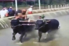 कर्नाटक : अब 'कंबला' से प्रतिबंध हटाने के लिए छात्रों ने किया प्रदर्शन कर्नाटक : अब 'कंबला' से प्रतिबंध हटाने के लिए छात्रों ने किया प्रदर्शन