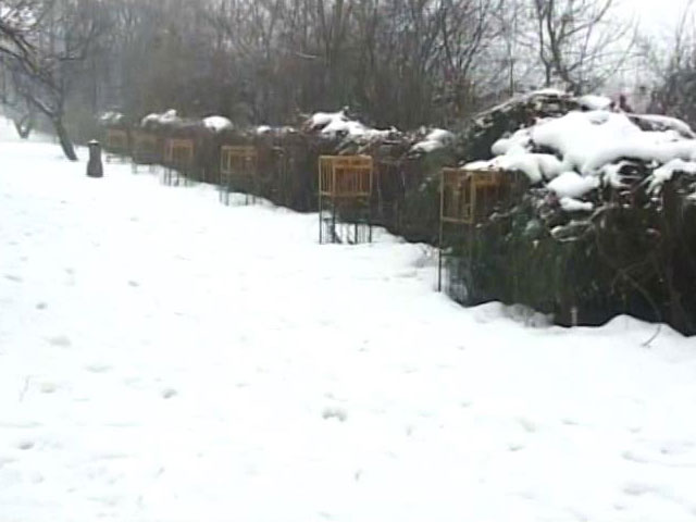 Avalanche: Number Of Deaths In Jammu And Kashmir's Gurez Rise To 15